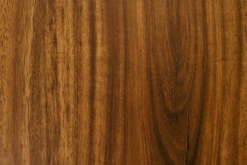 Naklejka premium Warm Acacia