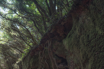 Magical place in the mountains of Anaga-deserted road. Tenerife. Canary Islands. Spain