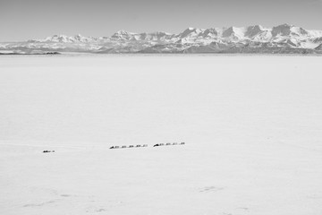 Towing across the Ross Ice Shelf - Antarctica