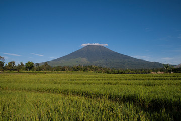 Fototapeta premium Landscape of Dempo Mountain at Pagaralam, South Sumatera, Indonesia.