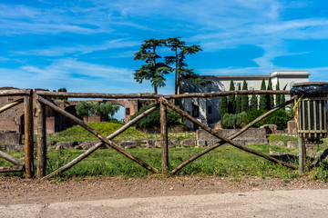 Fototapeta na wymiar Italy, Rome, Roman Forum, a wooden fence