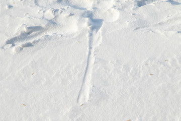 Snow winter background. Top view of snow texture.