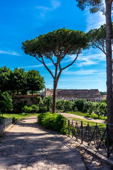 Facade of the Great Roman Colosseum (Coliseum, Colosseo), also known as the Flavian Amphitheatre. Famous world landmark. Scenic urban landscape.