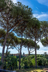 The ancient ruins at the Roman Forum in Rome