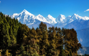 Himalaya snow peaks of Panchchuli range with pine trees and scenic landscape view at Munsiyari Uttarakhand.