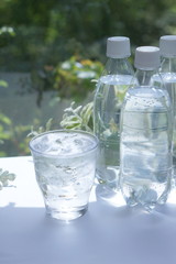 無糖　炭酸飲料