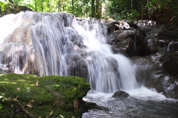Fototapeta premium waterfall .Landscape of waterfall in deep rain forest 