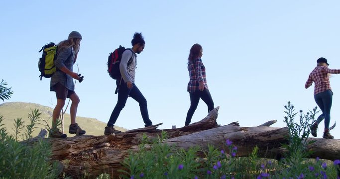 Group of friends hiking through forest 4k