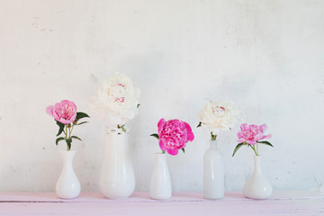 peonies in vase on white background