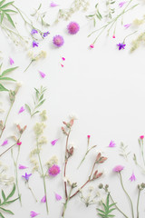 Obraz na płótnie Canvas summer flowers on white paper background