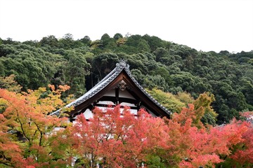 永観堂　京都　