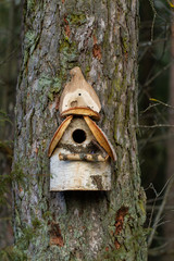 Bird House from birch
