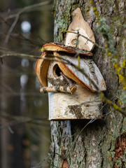 Bird House from birch
