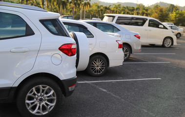 Closeup of back or rear side of white car and other cars parking in outdoor parking area with natural background in twilight evening. 
