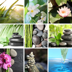 Collage of different beautiful pictures. Zen, balance, harmony