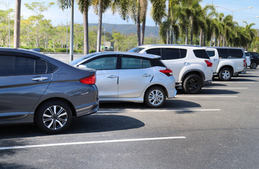 Closeup of back or rear side of blue car and other cars parking in outdoor parking area with natural background in bright sunny day. 