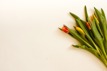 Bunch of Spring tulip flowers. Flat lay. Waiting for spring. Happy Easter card. Top view. Flower Tulip .Spring or summer background with copy space for text. Flowers composition. Floral pattern.