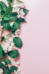 Creative layout with blooming apple tree on a pink background. Flat lay. Concept - spring minimalism