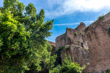 The ancient ruins at the Roman Forum, Palatine hill in Rome