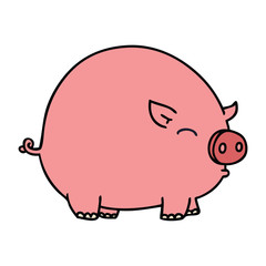 quirky hand drawn cartoon pig