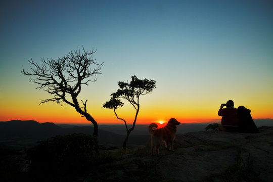 Couple, dog and trees silhouettes at sunrise in Brazil