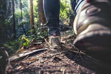 close up hiking shoes walking on a forest path with sunlight. travel concept.