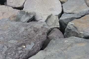 Close Capture on Stone Walking Texture