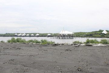 Fototapeta na wymiar mangrove park tourism in Mayangan Beach, Probolinggo District, East Java Province, INDONESIA