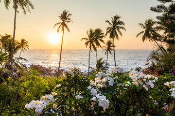 Palm trees and flowers on the ocean at dawn.