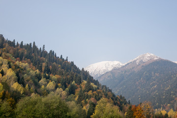 first rays of the sun. Dawn in the mountains. Autumn landscape, yellow trees. Defoliation.