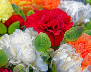 variety of colorful carnation flowers bunch, strong bokeh