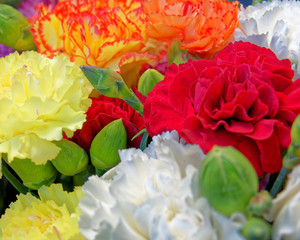 variety of colorful carnation flowers bunch, strong bokeh