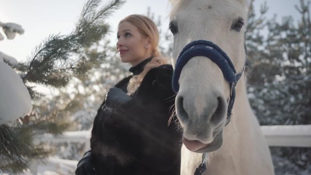 Portrait of pretty blond girl with thoroughbred white horse near the fence close up. Young woman playing with her white horse outdoors. Concept of horse breeding