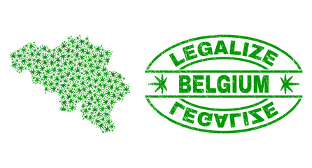 Vector cannabis Belgium map collage and grunge textured Legalize stamp seal. Concept with green weed leaves. Concept for cannabis legalize campaign. Vector Belgium map is formed with cannabis leaves.