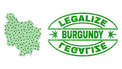 Vector cannabis Burgundy Province map mosaic and grunge textured Legalize stamp seal. Concept with green weed leaves. Template for cannabis legalize campaign.
