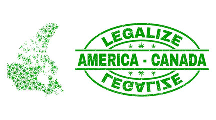 Vector cannabis Canada v2 map mosaic and grunge textured Legalize stamp seal. Concept with green weed leaves. Template for cannabis legalize campaign. Vector Canada v2 map is created with weed leaves.