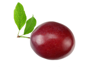 fresh plum fruit with green leaf isolated on white background. top view
