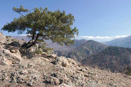 View from Tisata Reserve to Pirin Mountain