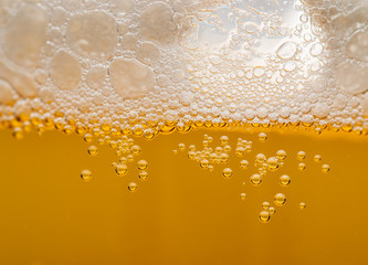 light beer bubbles as background