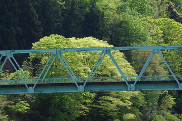 橋と森