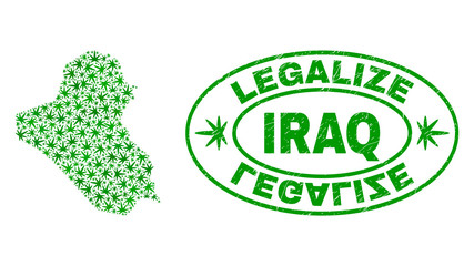 Vector cannabis Iraq map collage and grunge textured Legalize stamp seal. Concept with green weed leaves. Template for cannabis legalize campaign. Vector Iraq map is designed with weed leaves.