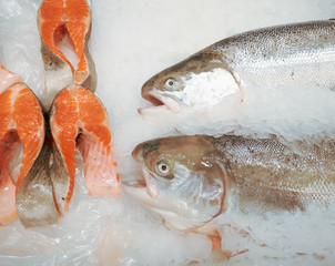 Chilled fish in the ice on the counter in the store