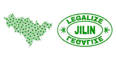 Vector cannabis Jilin Province map mosaic and grunge textured Legalize stamp seal. Concept with green weed leaves. Concept for cannabis legalize campaign.