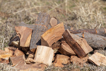 Firewood for a fire in nature