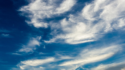 Obraz premium colorful dramatic sky with cloud at sunset.
