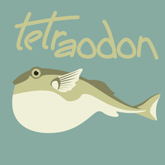 tetraodon fish,vector illustration , lining draw