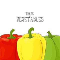 fresh vegetable illustration