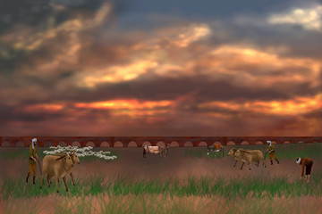 herd of cows in field at sunset