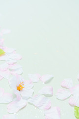背景素材 桜の花びら