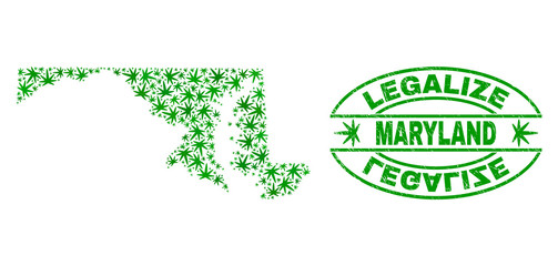 Vector marijuana Maryland State map collage and grunge textured Legalize stamp seal. Concept with green weed leaves. Concept for cannabis legalize campaign.